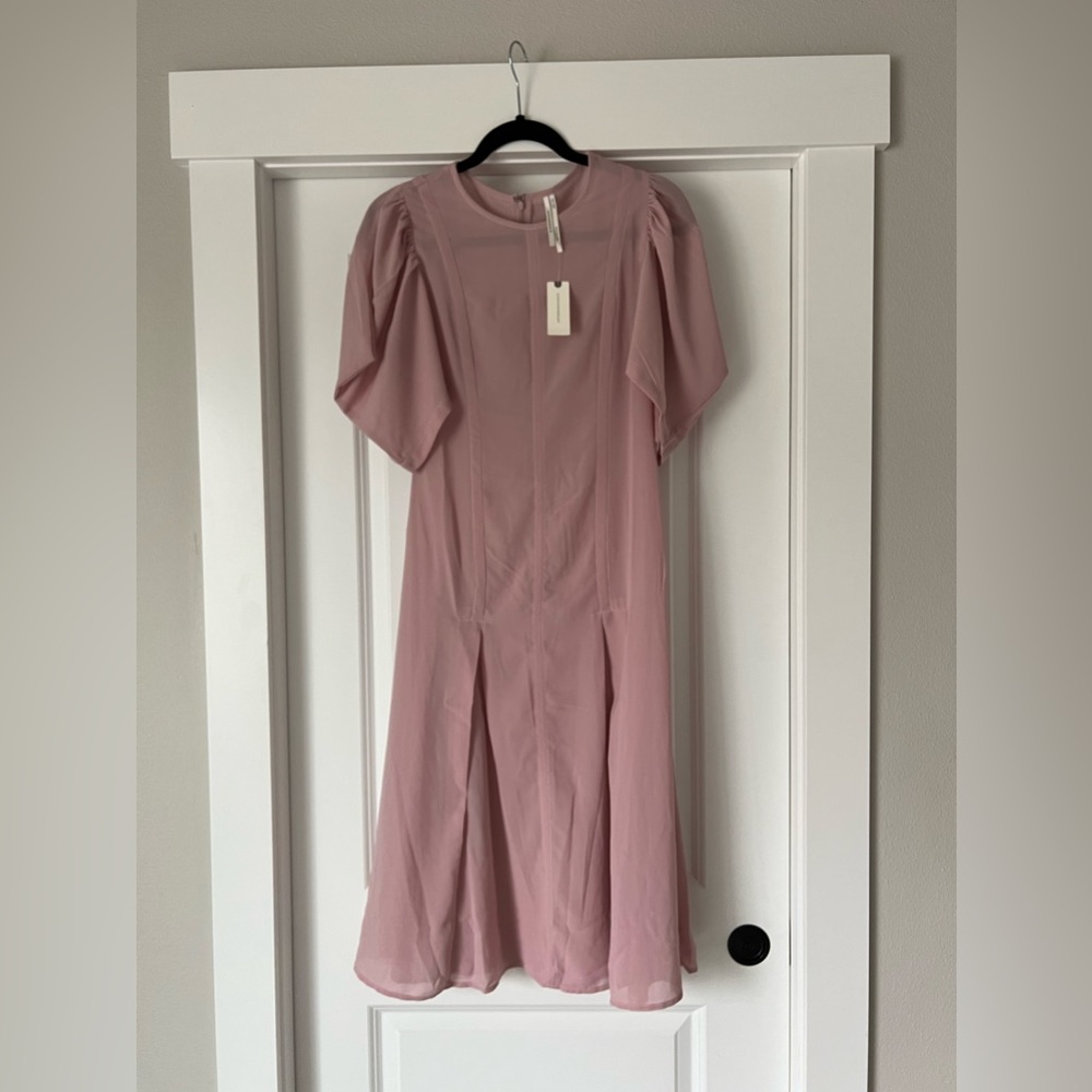 Anthropologie Pink Puff Sleeve Unlined Dress Size 2